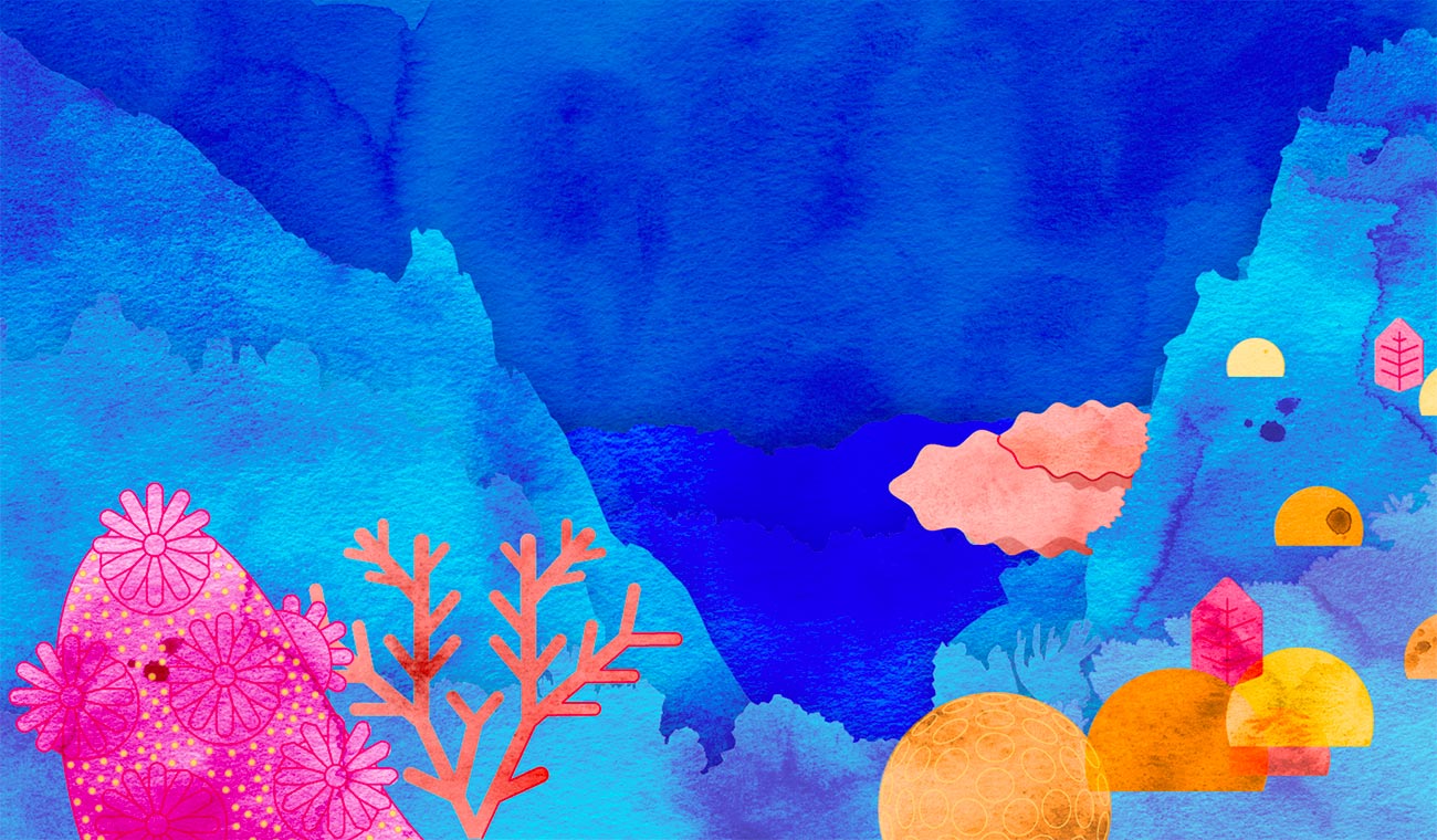 Visual Feature | Status of Coral Reefs of the World