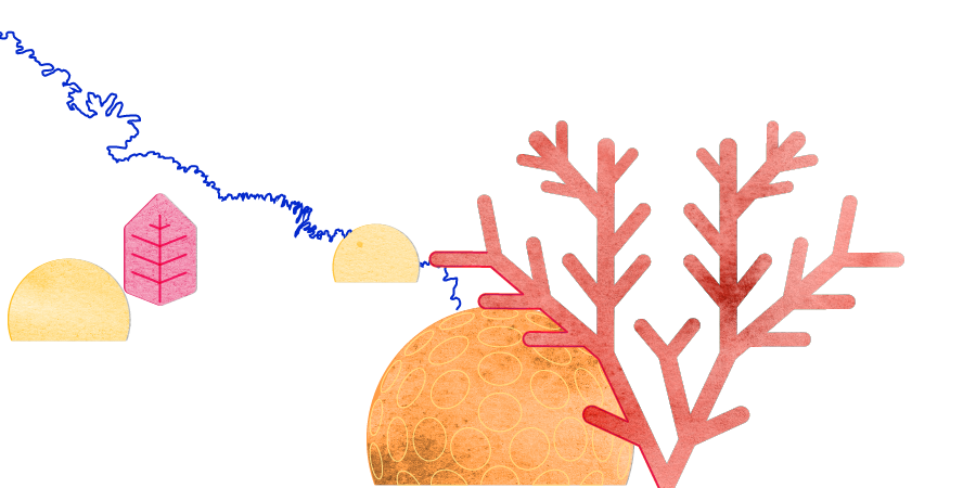 Visual Feature | Status of Coral Reefs of the World